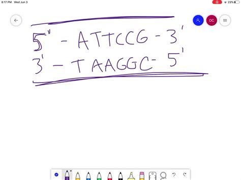 One strand of DNA has the sequence 5^'- ATTCCG-3 ^' The complementary ...