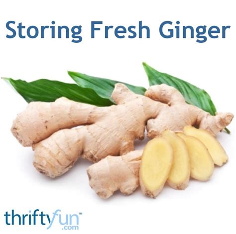 Storing Fresh Ginger | ThriftyFun