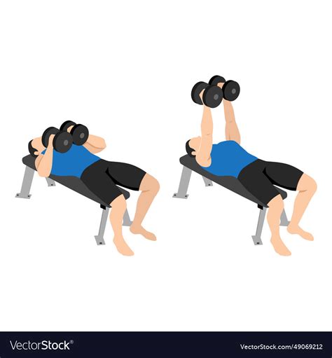 Man Doing Laying Dumbbell Svend Press Exercise Vector Image