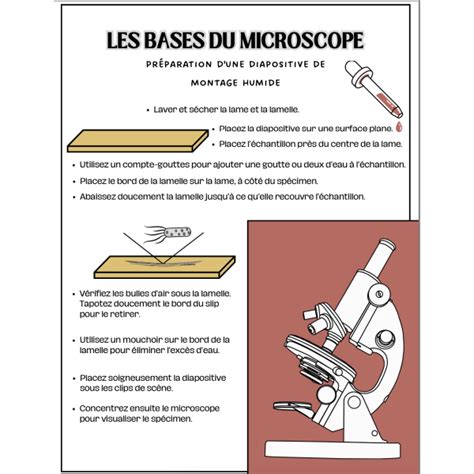 Les Parties Du Microscope