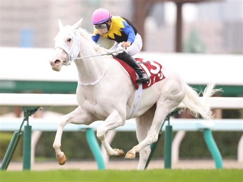 【チャンピオンズc】ダート初挑戦発表のソダシが初時計 人馬の呼吸ぴったり馬三郎のつぶやき 競馬ニュース Netkeiba