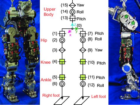 The Mechanical Assembly Of Our Robot And Its Joint Configuration The