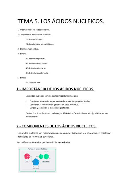 TEMA 5 Acidos Nucleicos TEMA 5 LOS ÁCIDOS NUCLEICOS 1 Importancia