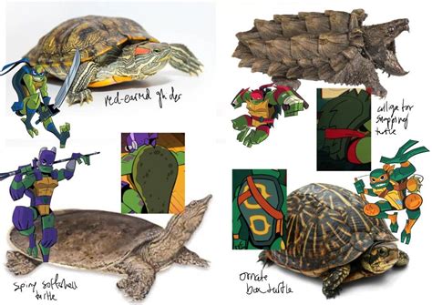 Pin On Tmnt Teenage Mutant Ninja Turtles Artwork Teenage Mutant