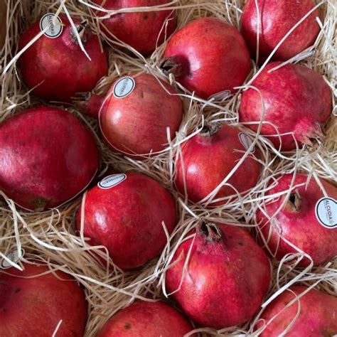 Pomegranates Troops Fruit Veg