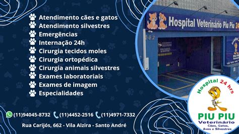 Piu Piu Clínica E Hospital Veterinário 24h