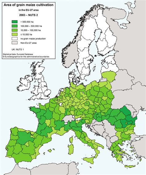 Area Of Grain Maize Cultivation In The Eu 27 Area Download