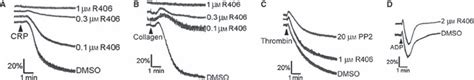 The Novel Syk Inhibitor R Reveals Mechanistic Differences In The