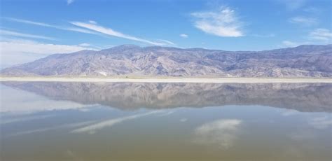 Owens Lake Big Day – Friends of the Inyo