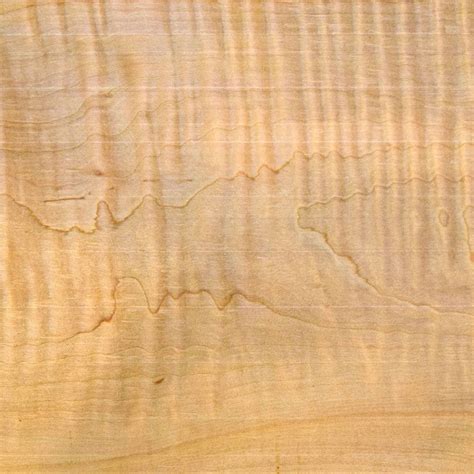 Hard Maple Lumber Hard Maple Wood