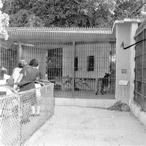 Modern Day Ruins: Crandon Park Zoo - Key Biscayne, Miami-Dade, Florida