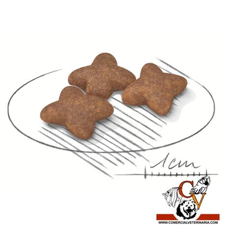 Mini Adult +8 Royal Canin