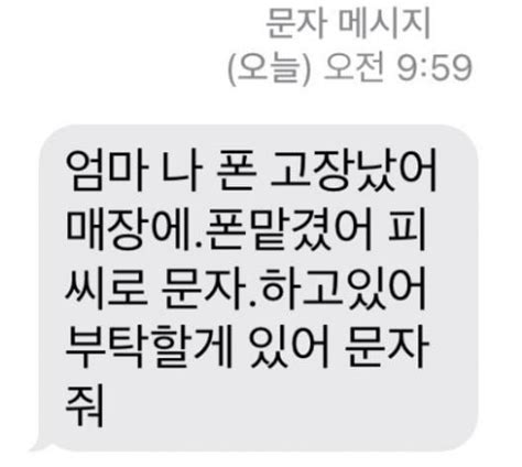 악 내 돈설연휴 재난지원금·택배·연말정산 사칭주의보 네이트 뉴스