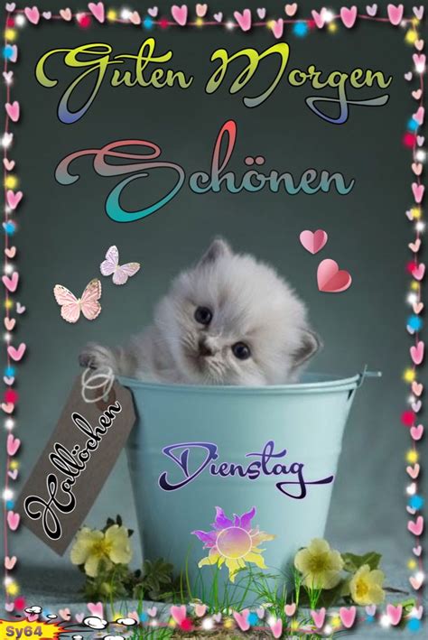 Good Morning Greetings With A Cute Kitten In A Blue Bucket