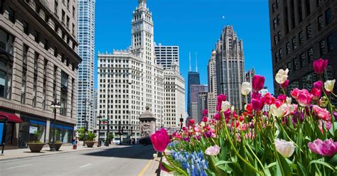 $59+ Flights to Chicago, Illinois | Cheapflights