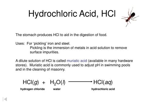 Ppt Common Acids Powerpoint Presentation Id 4697679