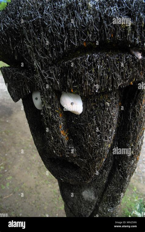 Tiki Tree Head Pacific Harbour Fiji Stock Photo Alamy