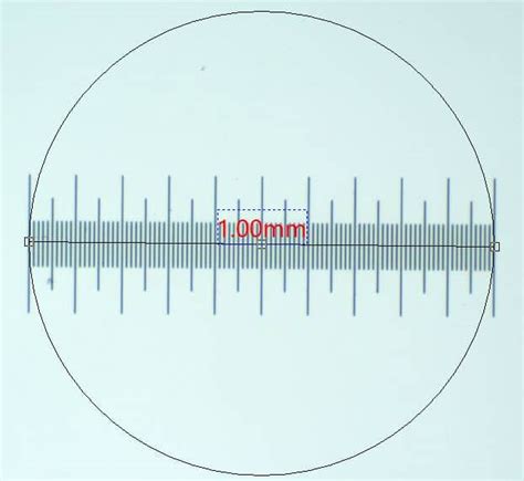 How To Measure The Size Of A Specimen Under The Microscope Microscope