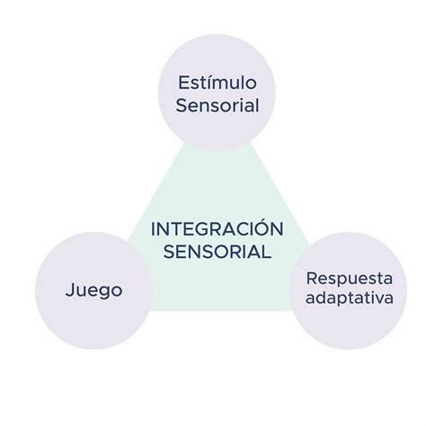 ¿qué Es La Integración Sensorial