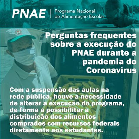 Perguntas E Respostas Sobre A Distribui O De Alimentos Do Pnae