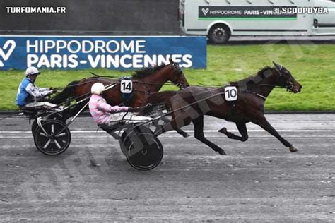 Killiam Fromentro Cheval Retrouvez Toutes Les Performances De