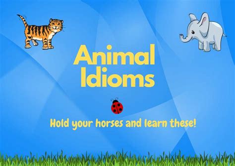 42 Animal Idioms: Have A Whale Of A Time!