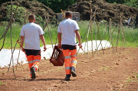 Chantier De Mara Chage D Veloppement Conomique Bassin De Pompey