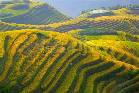 Longji Rice Terraces Stock Image Colourbox