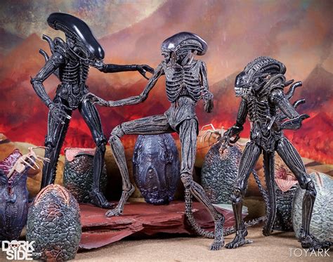 Neca Alien Covenant Toyark Gallery Toy Discussion At Toyark