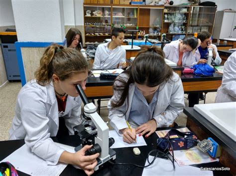 Eso Bachillerato Proyecto Laboratorios Colegio Salesianos El Pilar