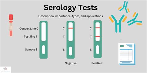 Serology Test: Description, types, importance