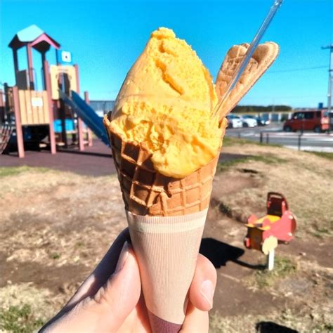 道の駅 ひたちおおた 黄門の郷 （ミチノエキヒタチオオタ コウモンノサト） 河合道の駅 食べログ