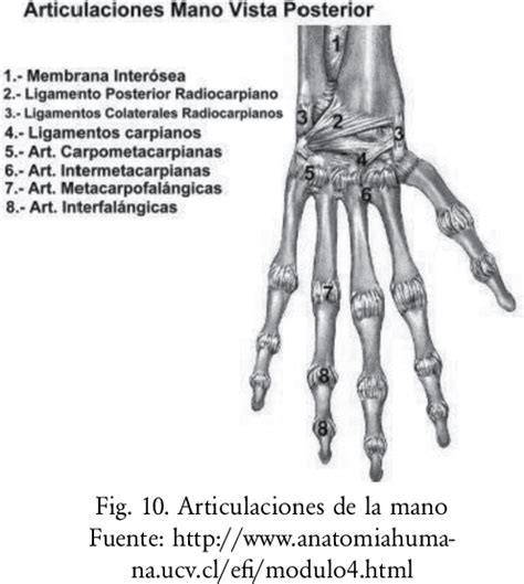 Figure From Dise O Y Construcci N De Una Mano Rob Tica Para La