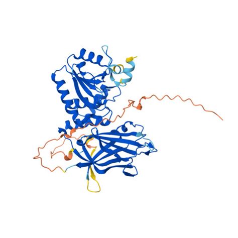 Rcsb Pdb Af Afp F Computed Structure Model Of