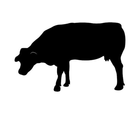 Silueta De Vaca Vectorial Aislada Sobre Fondo Blanco Vector Premium