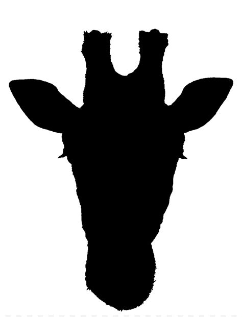 Le Parc National Kruger Afrique De Louest Girafe Silhouette Png Le