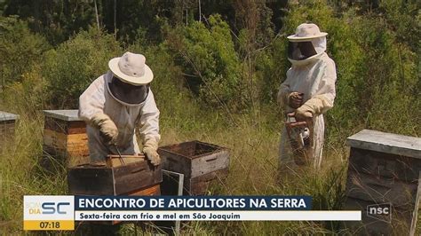 Encontro Re Ne Apicultores E Meliponicultores Em S O Joaquim Campo E