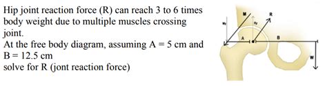 Solved Hip Joint Reaction Force R Can Reach 3 To 6 Times