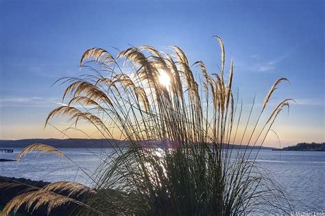 Sunrise The Holy Loch Firth Of Clyde Scotland Micha Flickr