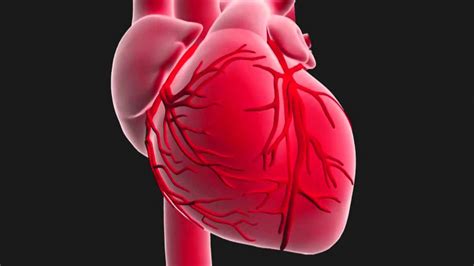 Infarctus Du Myocarde Sympt Mes Causes Et Traitements Santeromande