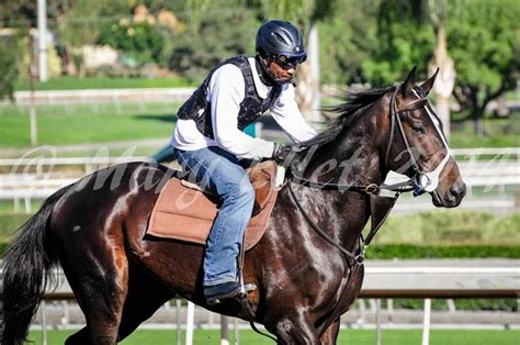 Cozmic One At Santa Anita Zenyatta Horse Racehorse Riding Helmets