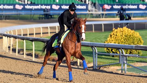 Kentucky Derby: Here are 20 horses that make up field