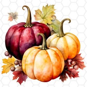 Watercolor Autumn Pumpkins Png Files For Sublimation Pumpkin Clipart