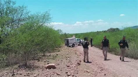 Encuentran Cuatro Fosas Clandestinas Con Restos Humanos En Guaymas