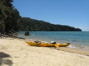 Kayak Abel Tasman Photo Of Tasman Nelson New Zealand At Kiwiwise