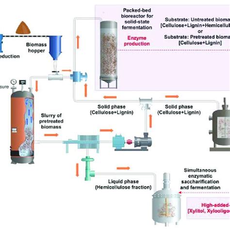 Schematic Representation Of A General Biorefinery Process For