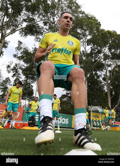 S O Paulo Sp Treino Do Palmeiras The Goalkeeper