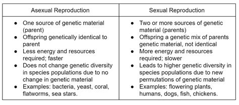 Reproduce Asexual And Sexual — Characteristics Of Life Expii