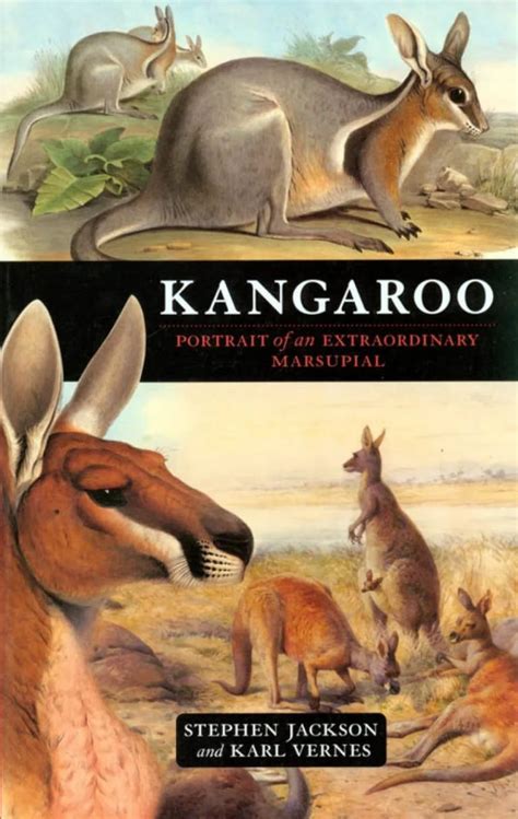 Kangaroo Portrait Of An Extraordinary Marsupial Nokomis