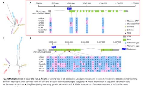 跟着nature Genetics学画图：r语言ggplot2画图展示snp位点的碱基类型 腾讯云开发者社区 腾讯云